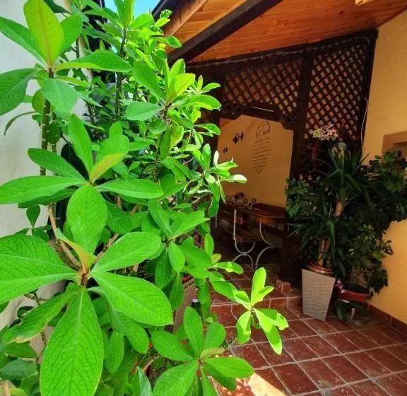 ペンション Casa Viselor De Vară