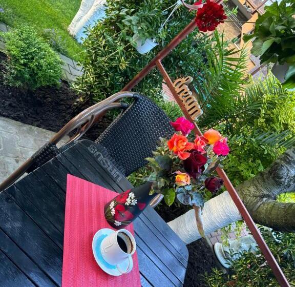 بنسيون Casa Viselor De Vară