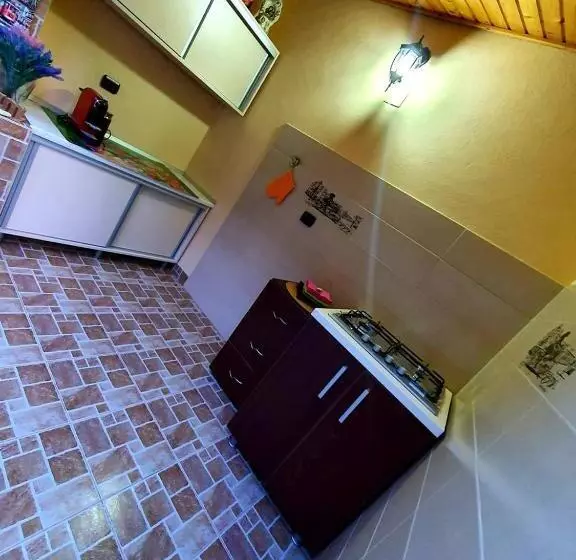 ペンション Casa Viselor De Vară