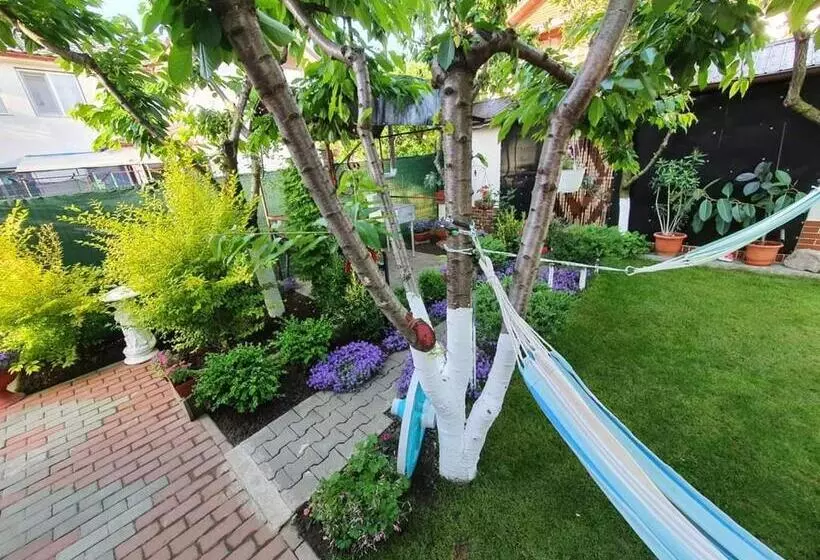 ペンション Casa Viselor De Vară