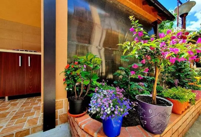 ペンション Casa Viselor De Vară