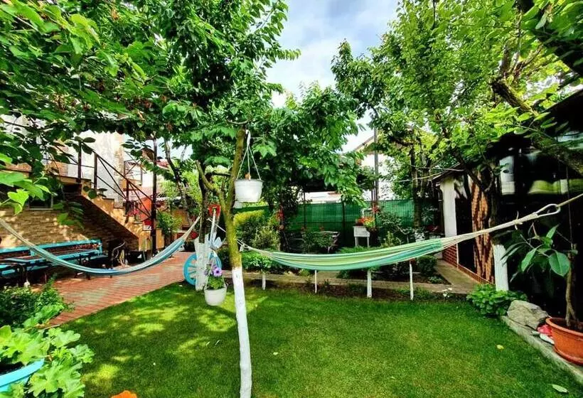 ペンション Casa Viselor De Vară