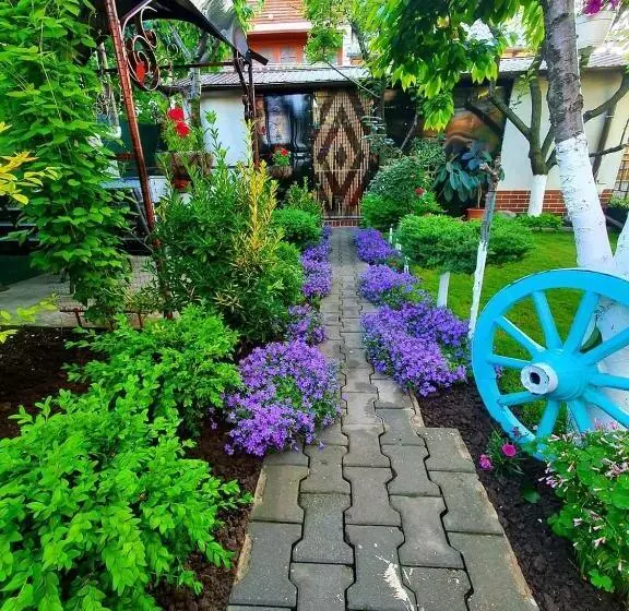 ペンション Casa Viselor De Vară
