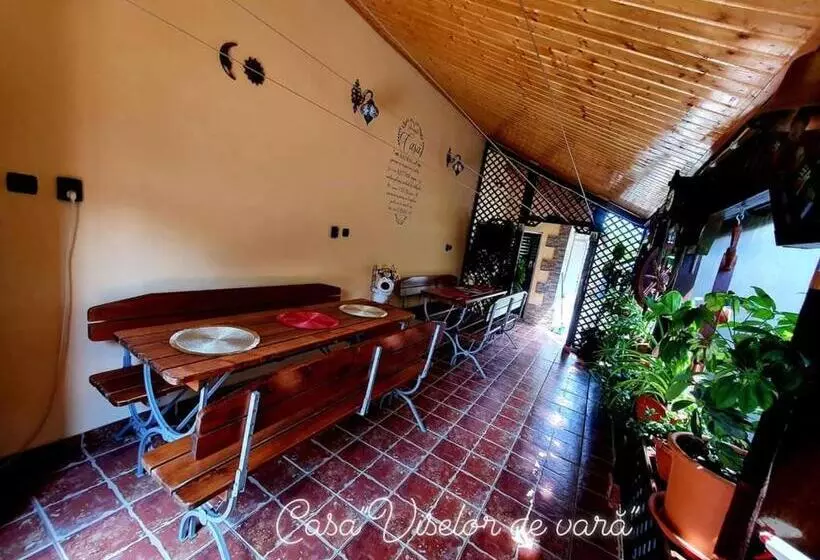 ペンション Casa Viselor De Vară