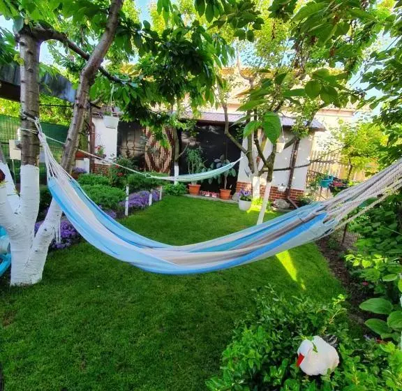 ペンション Casa Viselor De Vară