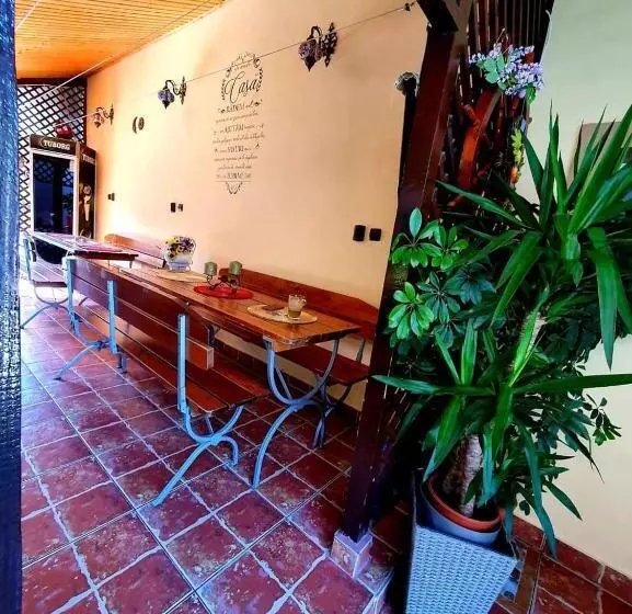 ペンション Casa Viselor De Vară