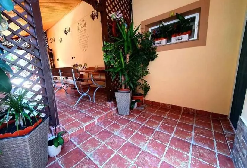ペンション Casa Viselor De Vară