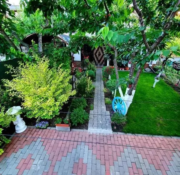 ペンション Casa Viselor De Vară