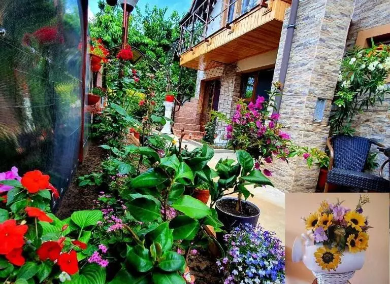 ペンション Casa Viselor De Vară