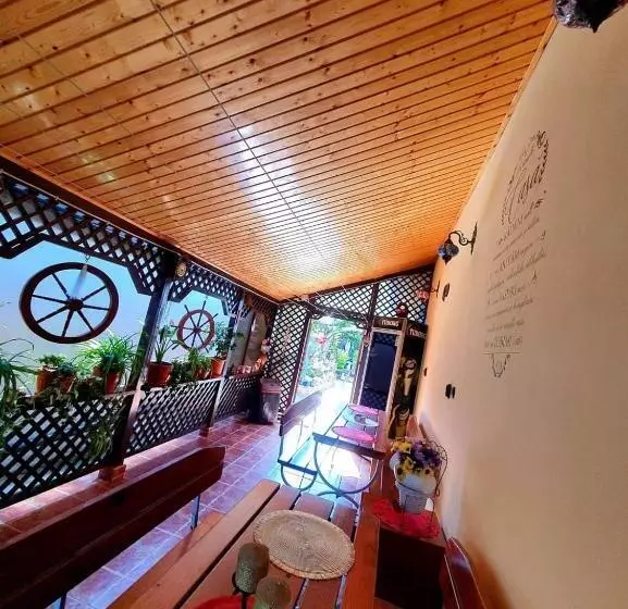 ペンション Casa Viselor De Vară