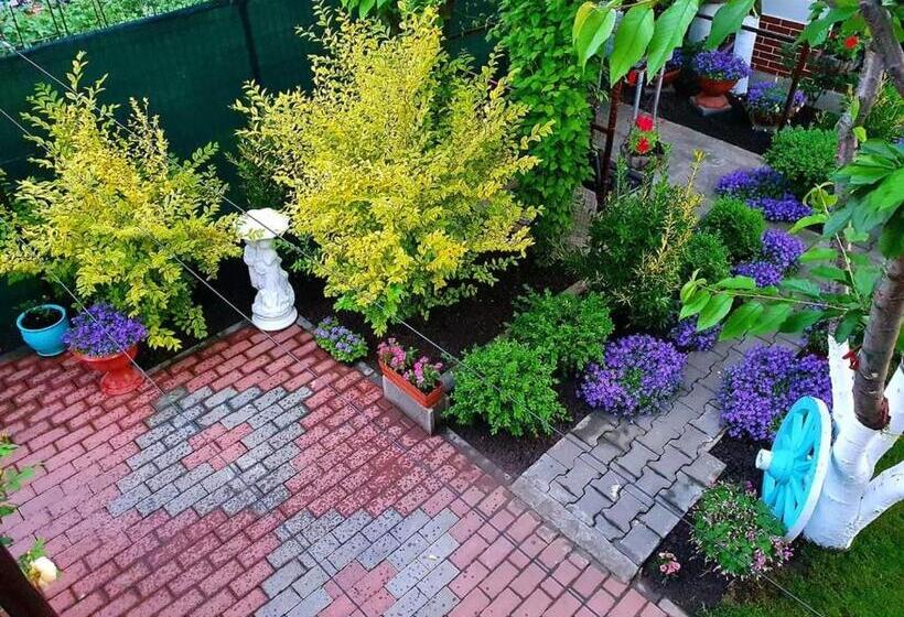 بنسيون Casa Viselor De Vară