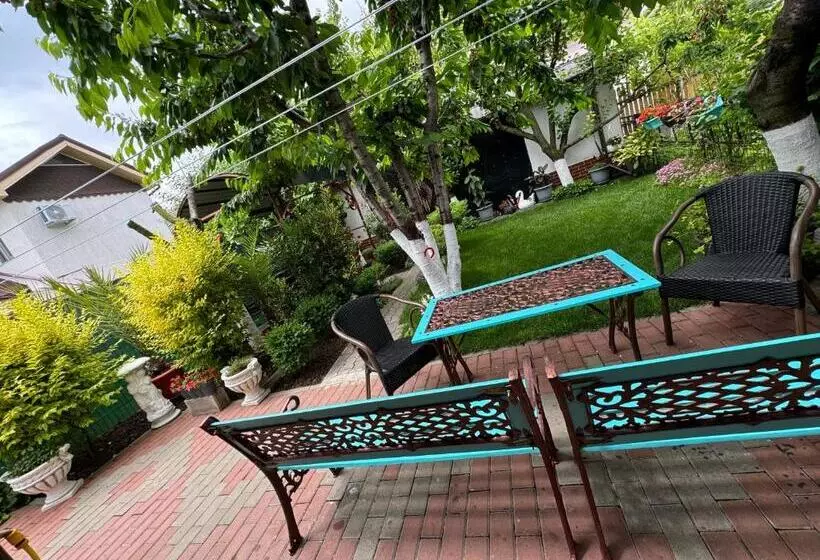 ペンション Casa Viselor De Vară