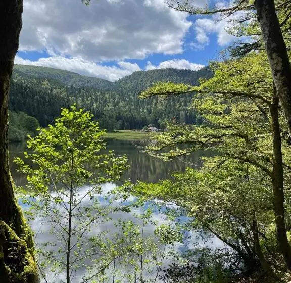 ペンション Rockin 70 S Lodges