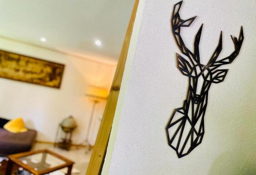 بنسيون Rockin 70 S Lodges