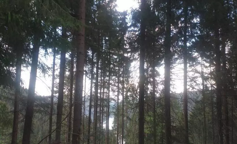 Majatalo Vila Vals Belis