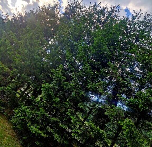 Pensiunea Rossvillas!!