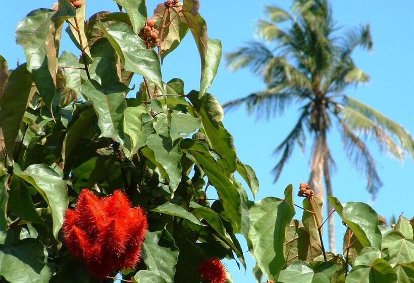 住宿加早餐 Princess Salme Inn