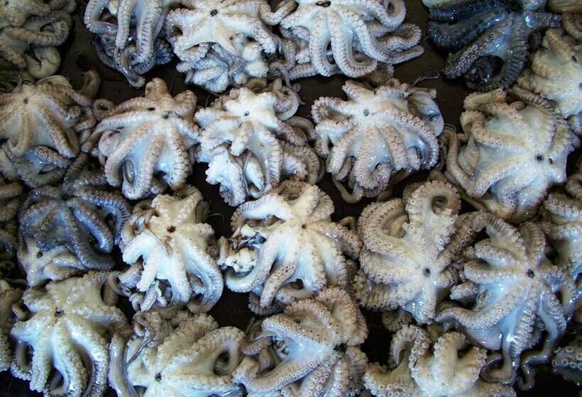 住宿加早餐 Princess Salme Inn