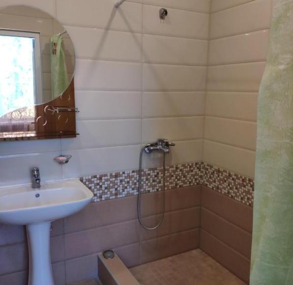 Health Resort Arzni 1