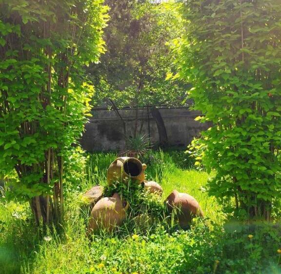 Health Resort Arzni 1