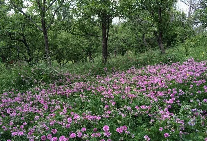 هتل Azoyan Holiday Resort