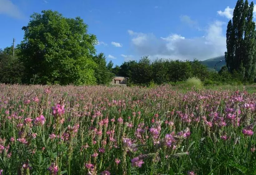 هتل Azoyan Holiday Resort