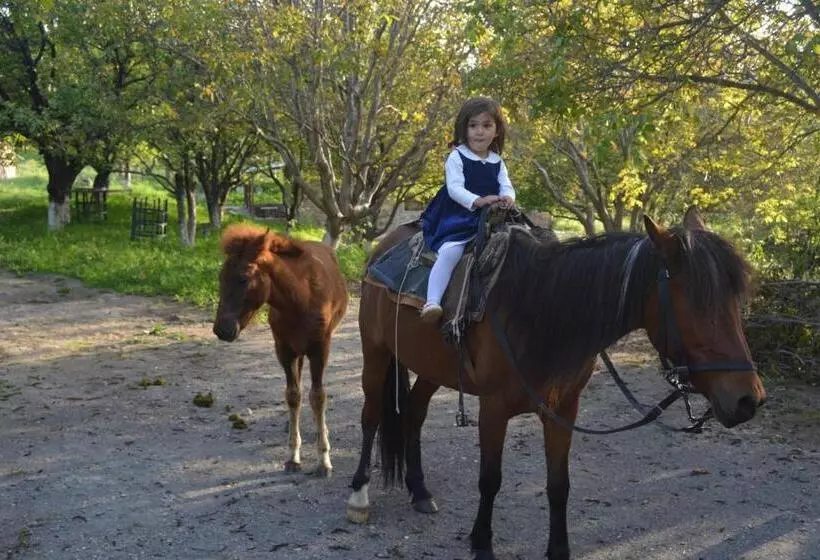 هتل Azoyan Holiday Resort