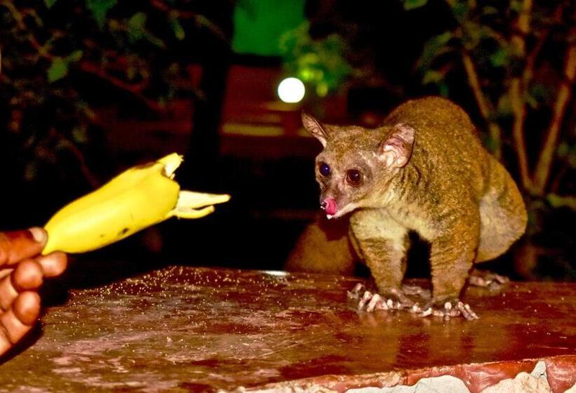 هتل Mangrove Lodge