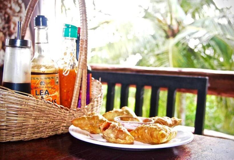 هتل Mangrove Lodge