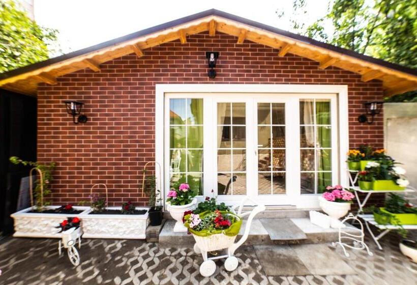 پانسیون 12 A Strada Voltaire