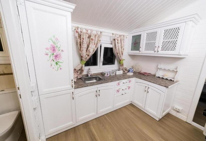 پانسیون 12 A Strada Voltaire