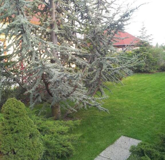 Пансион Anna Apartman