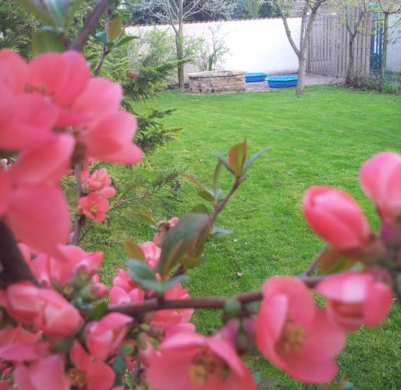 Пансион Anna Apartman