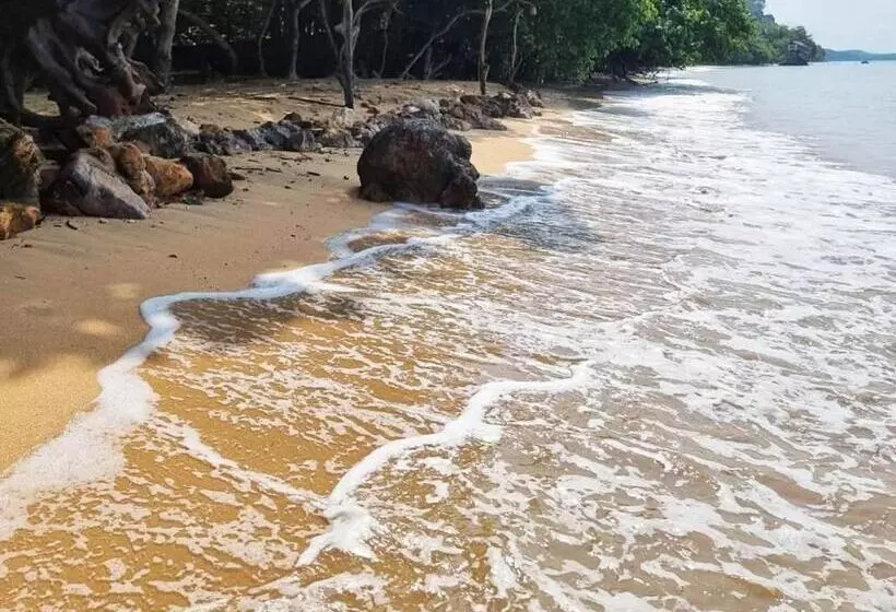 پانسیون Bonhomie Beach Cottage