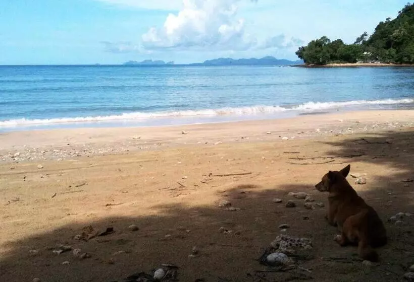 پانسیون Bonhomie Beach Cottage