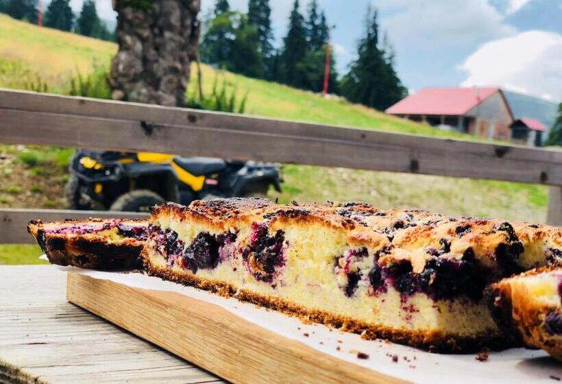 پانسیون Cabana Smile Straja