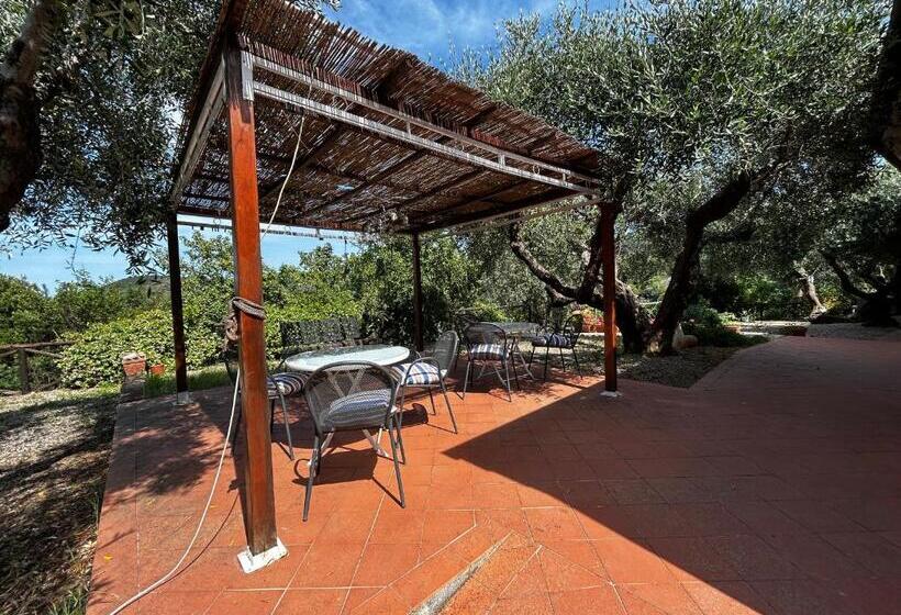 ペンション Oasi Del Monte