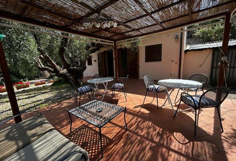 ペンション Oasi Del Monte