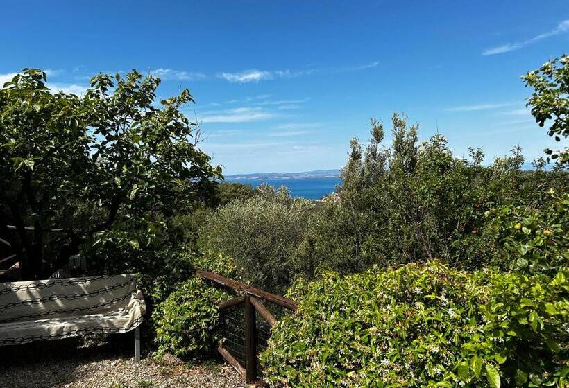 ペンション Oasi Del Monte