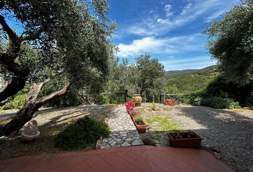 ペンション Oasi Del Monte