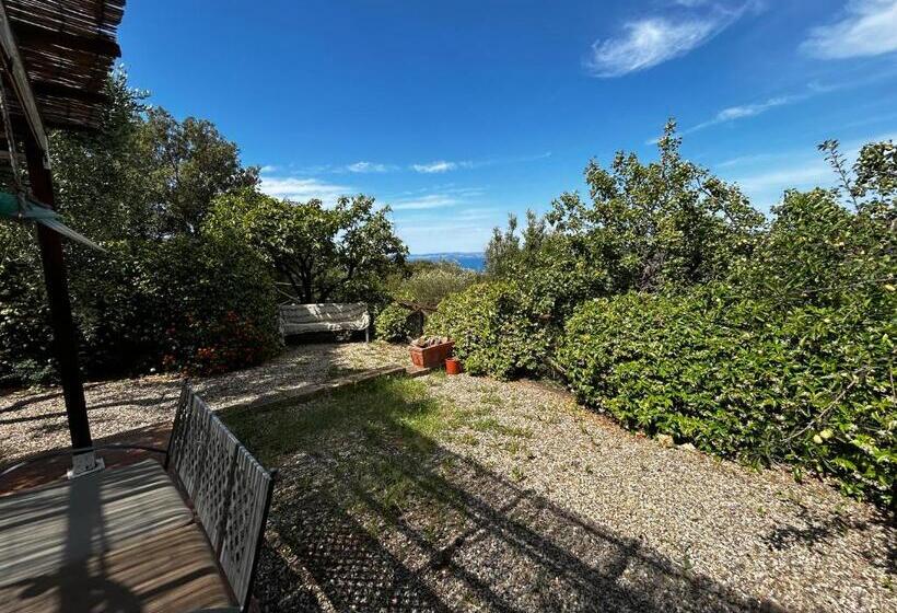 ペンション Oasi Del Monte