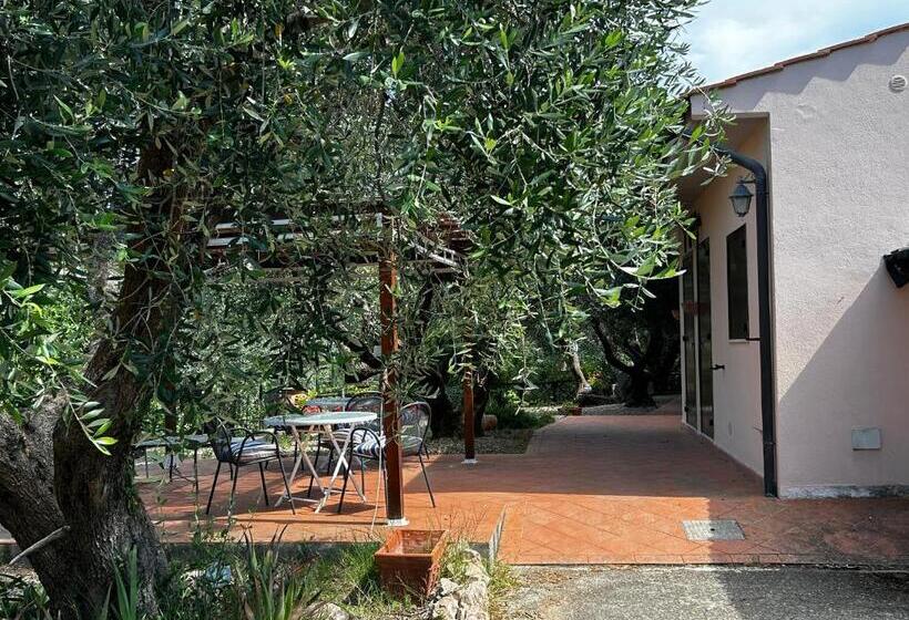 ペンション Oasi Del Monte