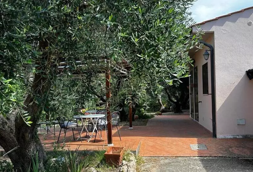 ペンション Oasi Del Monte