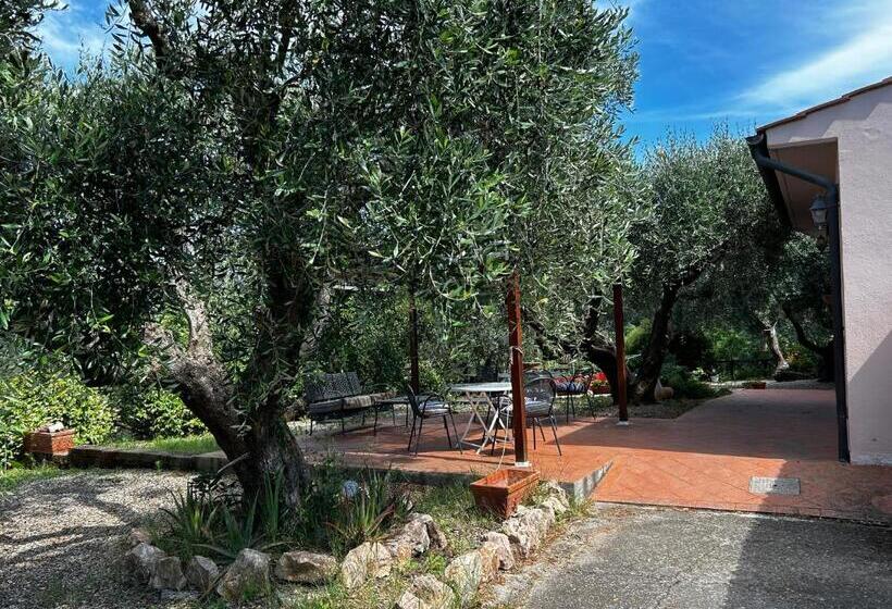 ペンション Oasi Del Monte