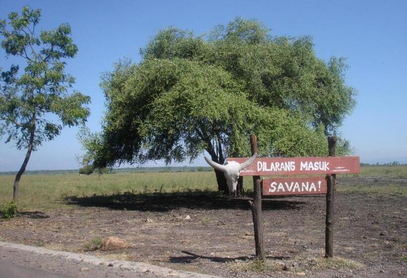 Pensionat Thalia Guesthouse Ijen   Bromo & Sukamade Tour