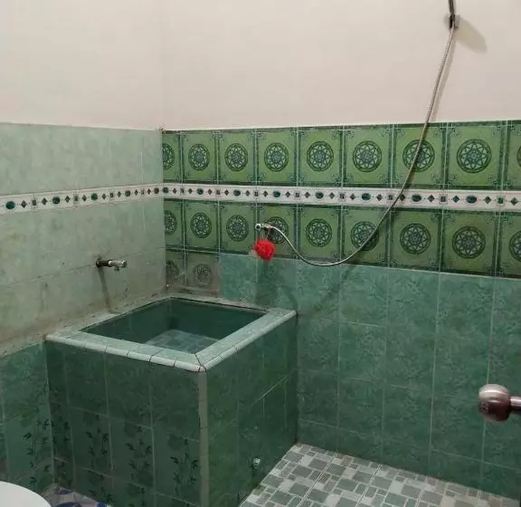 پانسیون Thalia Guesthouse Ijen Bromo & Sukamade Tour