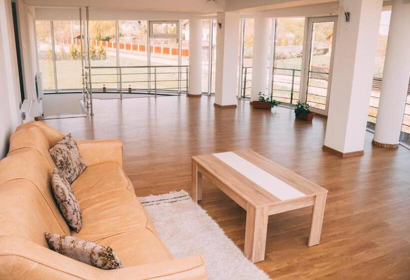 پانسیون Vila Dragomirna