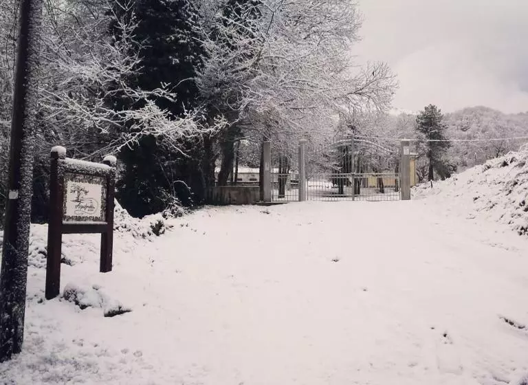ホテル Agriturismo Acquafredda