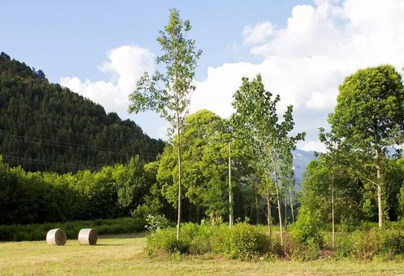 ホテル Agriturismo Acquafredda
