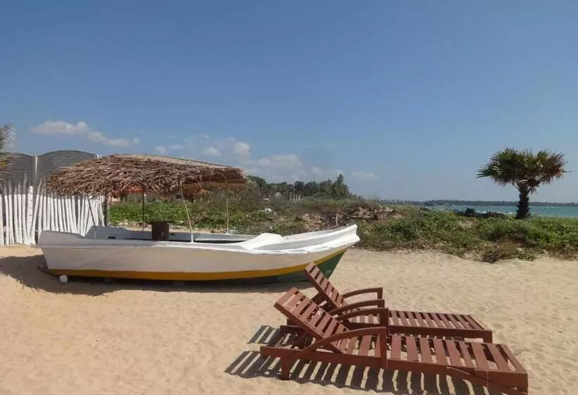 ホテル Angel Inn Beach